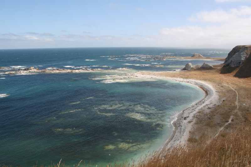 Nieuw-Zeeland 2011 - 1133